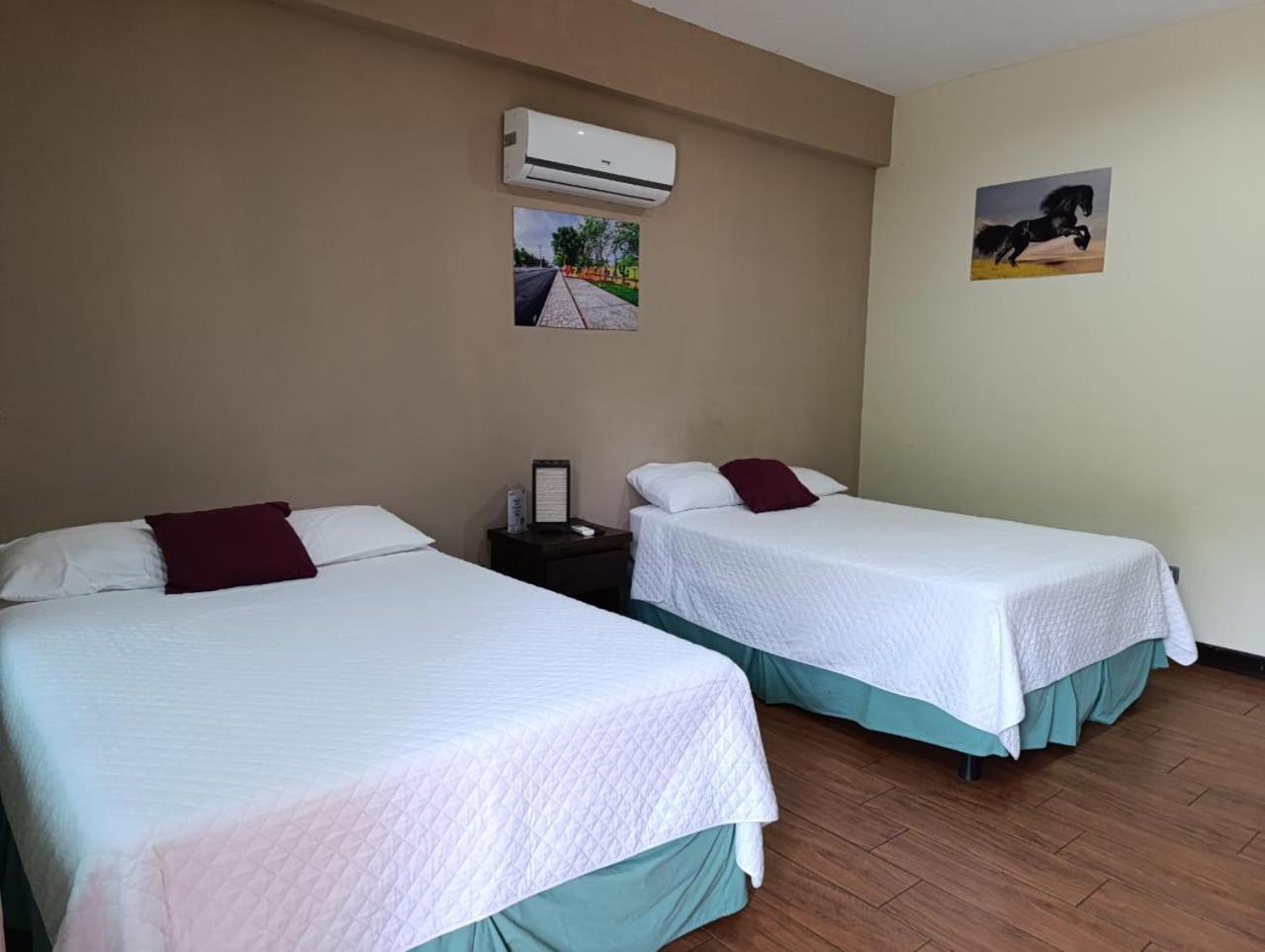 ホテル Hacienda El Pedregal Estanzuela エクステリア 写真