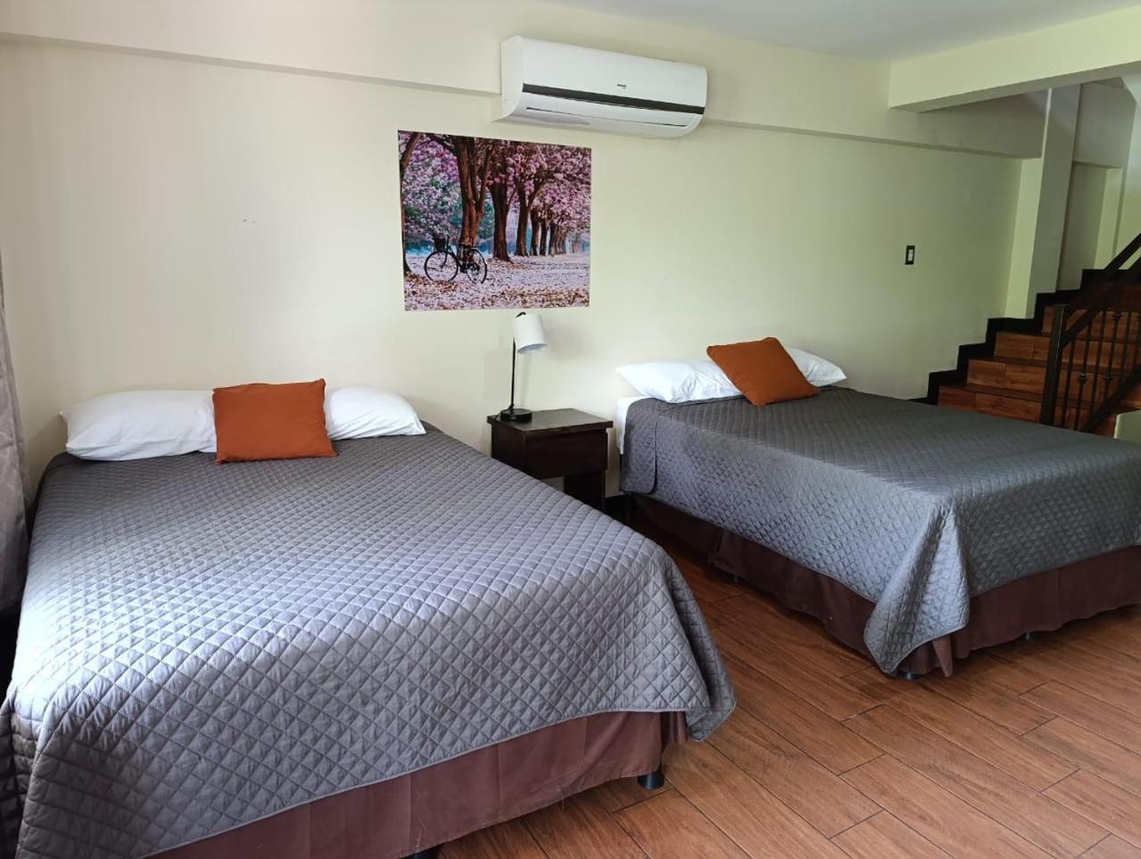 ホテル Hacienda El Pedregal Estanzuela エクステリア 写真